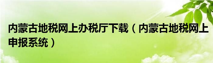 内蒙古地税网上办税厅下载（内蒙古地税网上申报系统）