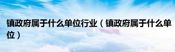 镇政府属于什么单位行业（镇政府属于什么单位）