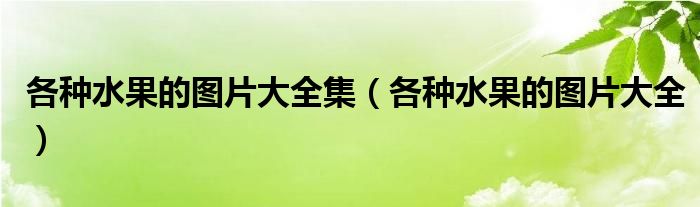 各种水果的图片大全集（各种水果的图片大全）