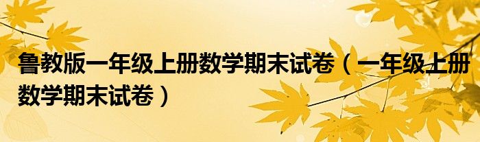 鲁教版一年级上册数学期末试卷（一年级上册数学期末试卷）