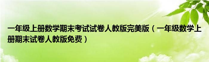 一年级上册数学期末考试试卷人教版完美版（一年级数学上册期末试卷人教版免费）