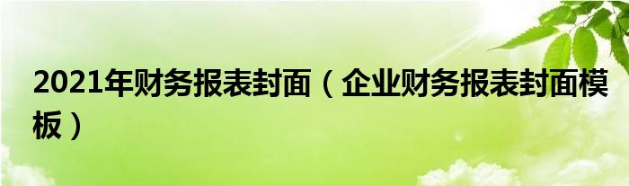 2021年财务报表封面（企业财务报表封面模板）