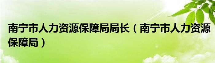 南宁市人力资源保障局局长（南宁市人力资源保障局）