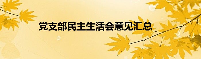 党支部民主生活会意见汇总