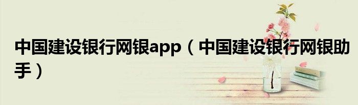 中国建设银行网银app（中国建设银行网银助手）