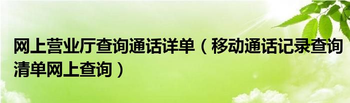 网上营业厅查询通话详单（移动通话记录查询清单网上查询）