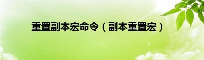 重置副本宏命令（副本重置宏）