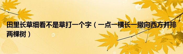 田里长草细看不是草打一个字（一点一横长一撇向西方并排两棵树）