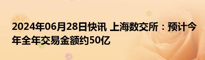 2024年06月28日快讯 上海数交所：预计今年全年交易金额约50亿