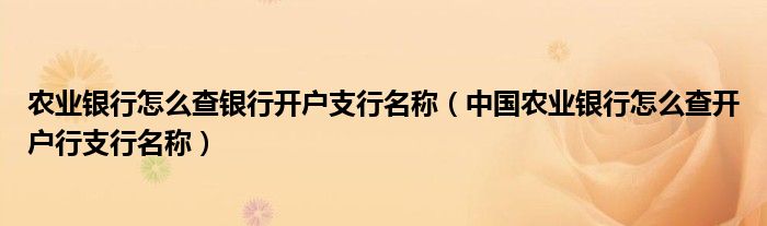 农业银行怎么查银行开户支行名称（中国农业银行怎么查开户行支行名称）