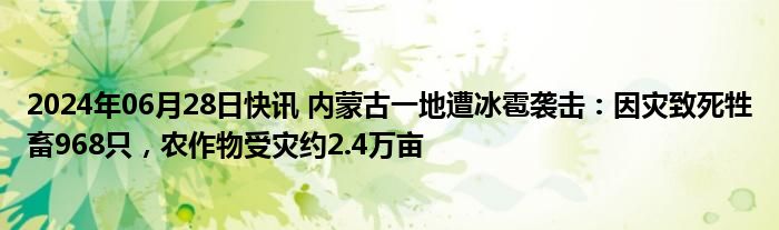 2024年06月28日快讯 内蒙古一地遭冰雹袭击：因灾致死牲畜968只，农作物受灾约2.4万亩