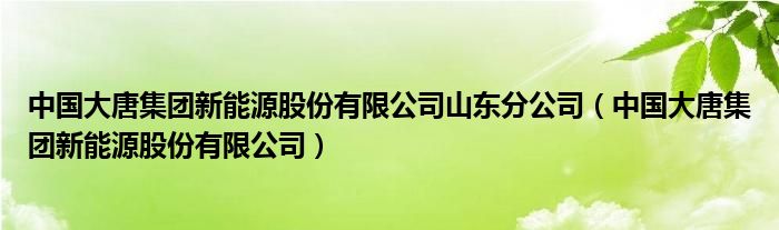 中国大唐集团新能源股份有限公司山东分公司（中国大唐集团新能源股份有限公司）