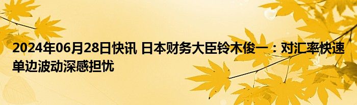 2024年06月28日快讯 日本财务大臣铃木俊一：对汇率快速单边波动深感担忧