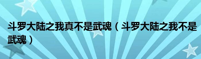 斗罗大陆之我真不是武魂（斗罗大陆之我不是武魂）