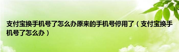 支付宝换手机号了怎么办原来的手机号停用了（支付宝换手机号了怎么办）