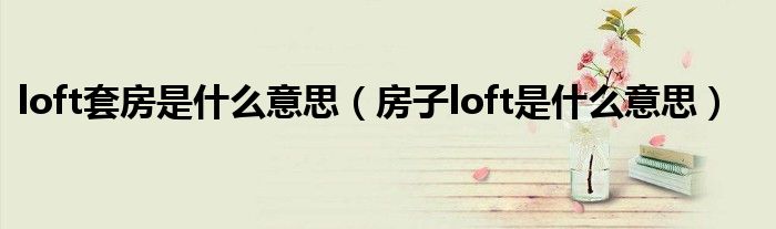 loft套房是什么意思（房子loft是什么意思）