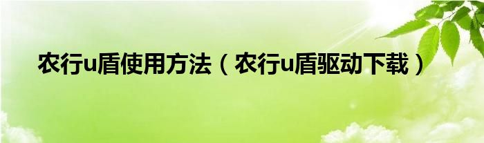 农行u盾使用方法（农行u盾驱动下载）