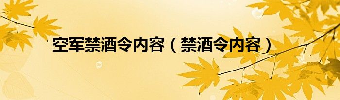 空军禁酒令内容（禁酒令内容）