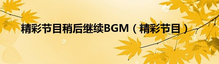 精彩节目稍后继续BGM（精彩节目）