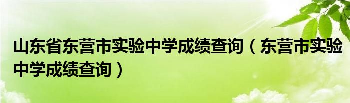 山东省东营市实验中学成绩查询（东营市实验中学成绩查询）