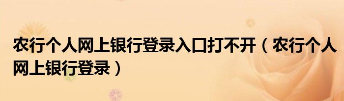 农行个人网上银行登录入口打不开（农行个人网上银行登录）