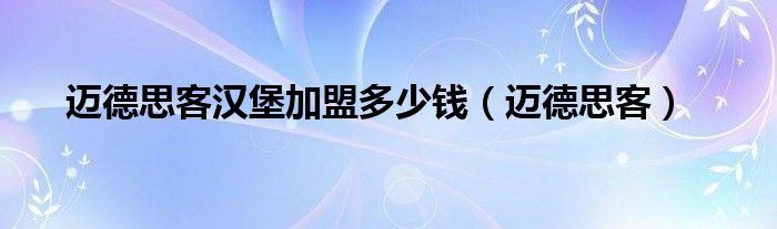 迈德思客汉堡加盟多少钱（迈德思客）