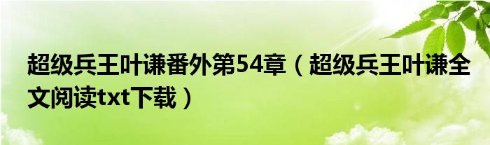 超级兵王叶谦番外第54章（超级兵王叶谦全文阅读txt下载）