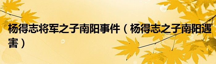 杨得志将军之子南阳事件（杨得志之子南阳遇害）