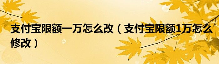 支付宝限额一万怎么改（支付宝限额1万怎么修改）