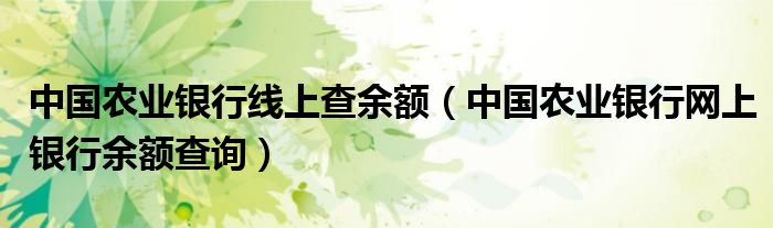 中国农业银行线上查余额（中国农业银行网上银行余额查询）