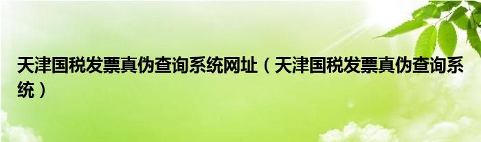 天津国税发票真伪查询系统网址（天津国税发票真伪查询系统）