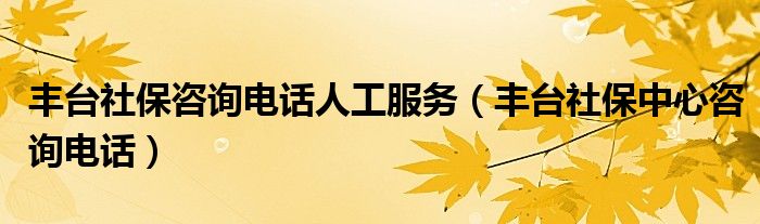 丰台社保咨询电话人工服务（丰台社保中心咨询电话）