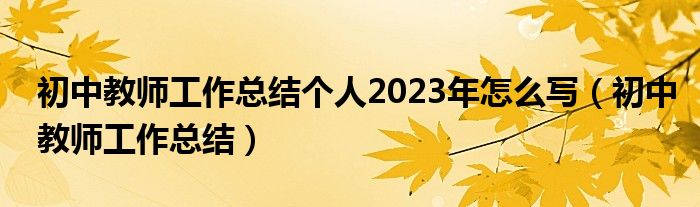 初中教师工作总结个人2023年怎么写（初中教师工作总结）