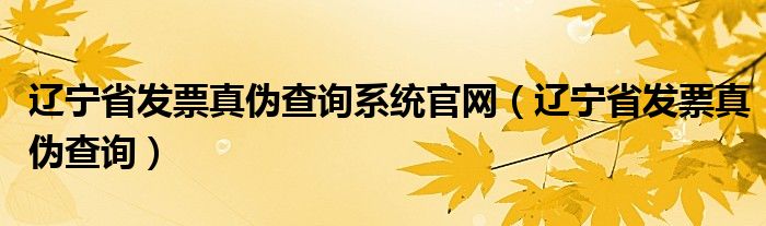 辽宁省发票真伪查询系统官网（辽宁省发票真伪查询）