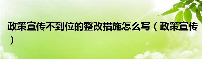 政策宣传不到位的整改措施怎么写（政策宣传）