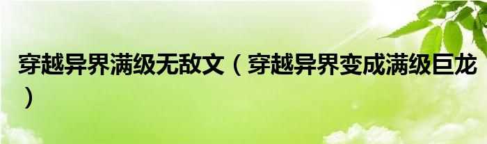 穿越异界满级无敌文（穿越异界变成满级巨龙）