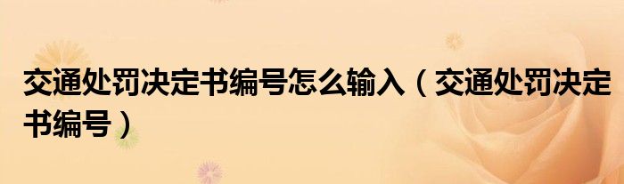 交通处罚决定书编号怎么输入（交通处罚决定书编号）