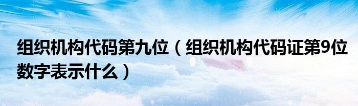 组织机构代码第九位（组织机构代码证第9位数字表示什么）