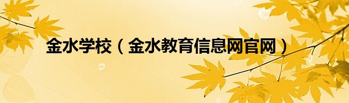 金水学校（金水教育信息网官网）