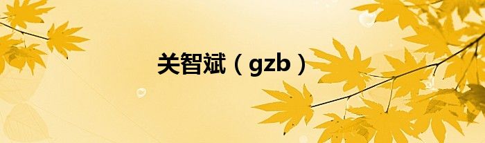 关智斌（gzb）