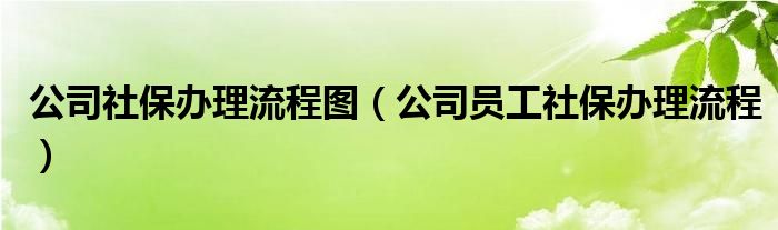 公司社保办理流程图（公司员工社保办理流程）