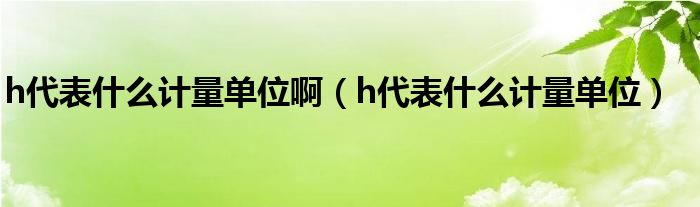 h代表什么计量单位啊（h代表什么计量单位）