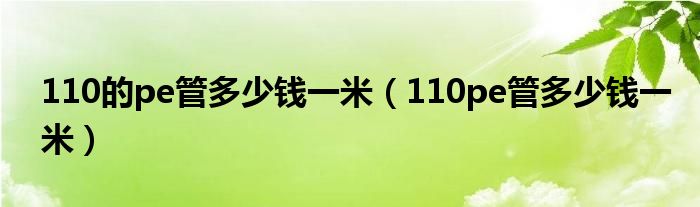 110的pe管多少钱一米（110pe管多少钱一米）