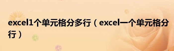 excel1个单元格分多行（excel一个单元格分行）