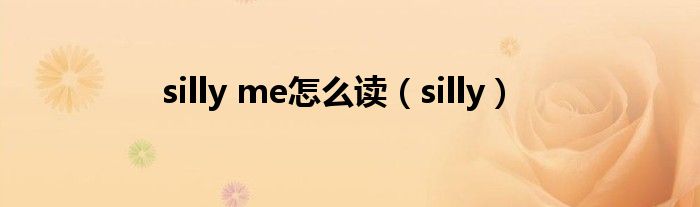 silly me怎么读（silly）