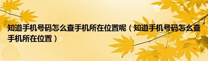 知道手机号码怎么查手机所在位置呢（知道手机号码怎么查手机所在位置）