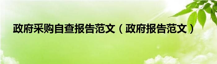 政府采购自查报告范文（政府报告范文）