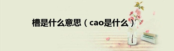 槽是什么意思（cao是什么）