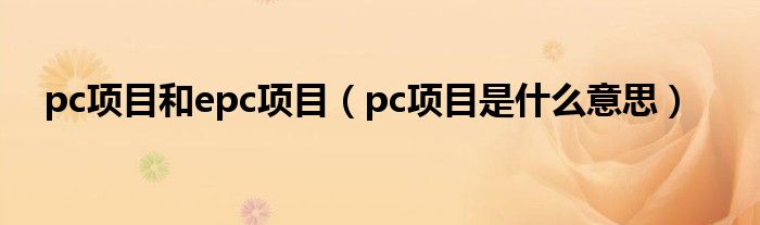 pc项目和epc项目（pc项目是什么意思）