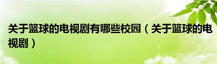 关于篮球的电视剧有哪些校园（关于篮球的电视剧）